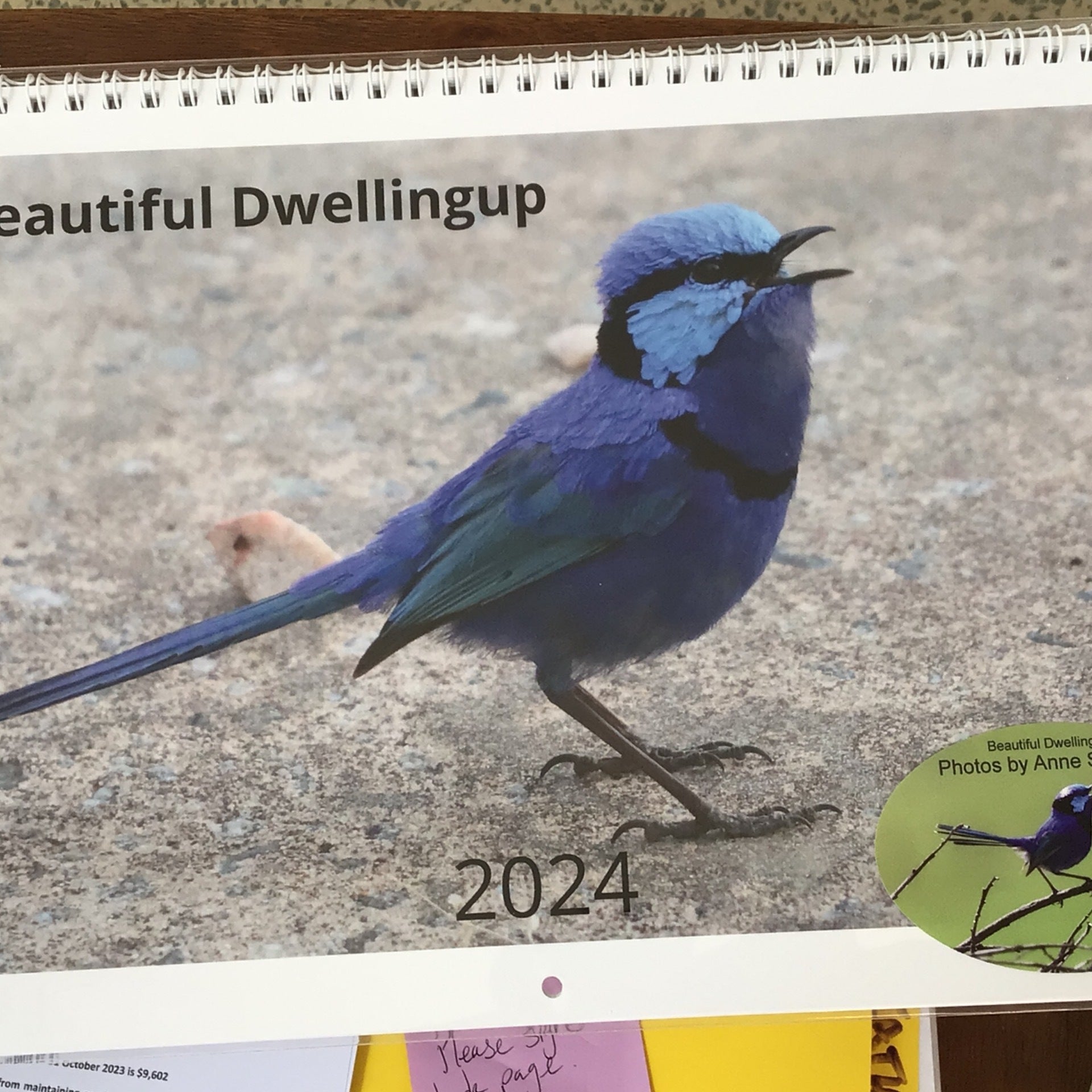 2024 Calendars | The Forest Discovery Centre and its community ...